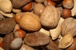 nuts_and_seeds_image_title_9snrs